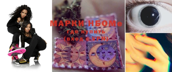 крисы Бугульма