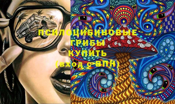 бошки Верея