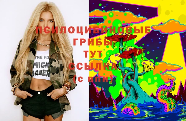 бошки Верея